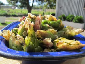 Waterblommetjies vir blog 008
