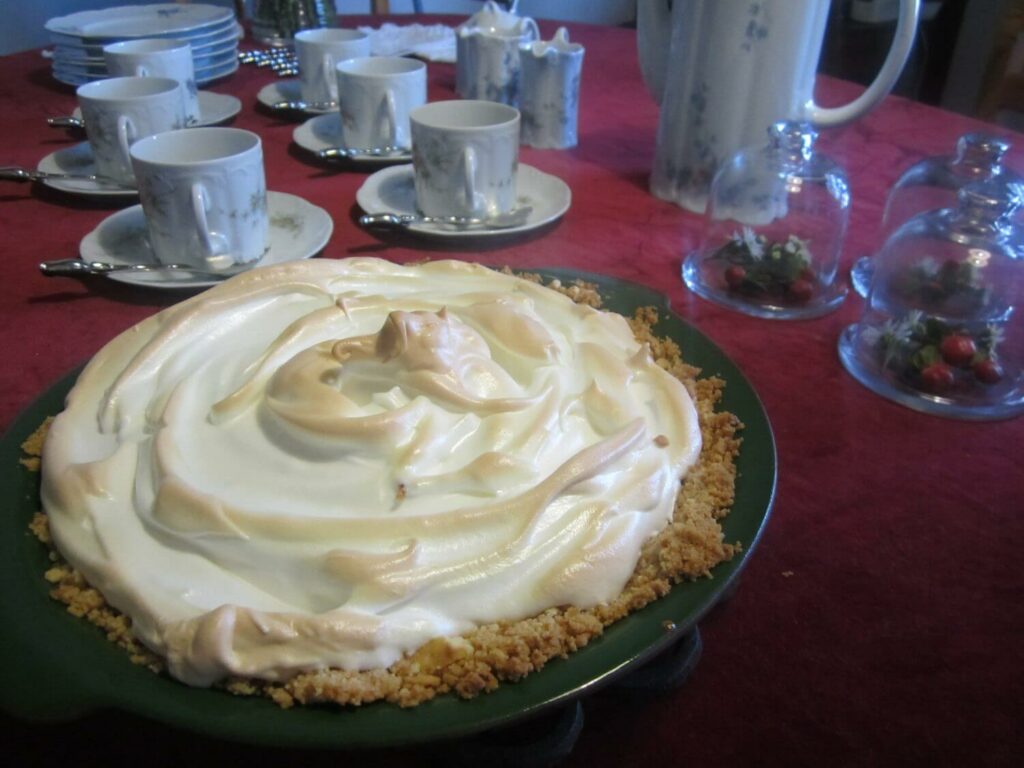 porlbelly.aartappelwiggies, lemon merigue blog 096