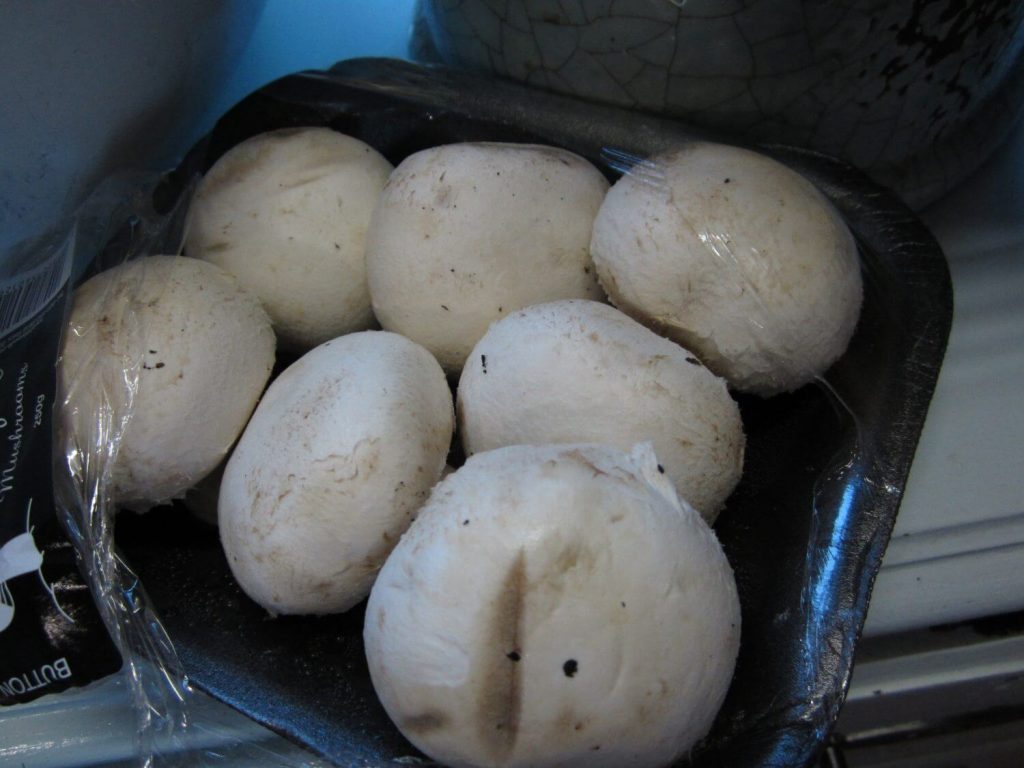 vis blog 011